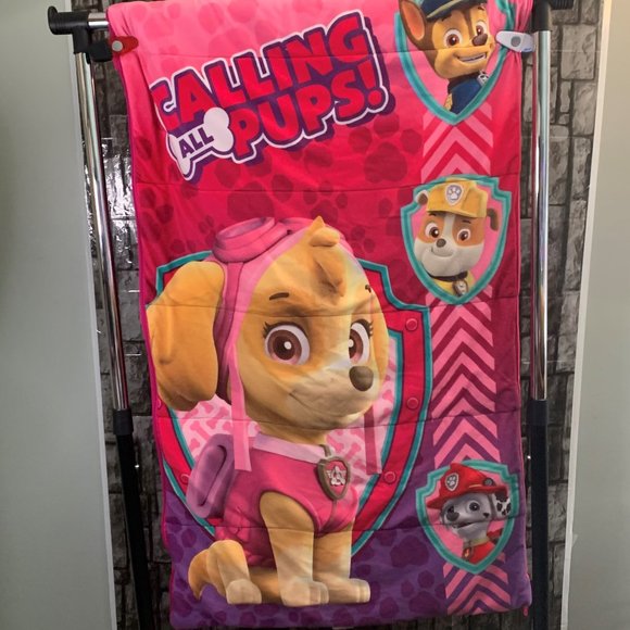 Paw Patrol Other - Sale 4 For $30 Paw Patrol Skye Pink 54 in  x 30 in Sleeping Bag - BDU1